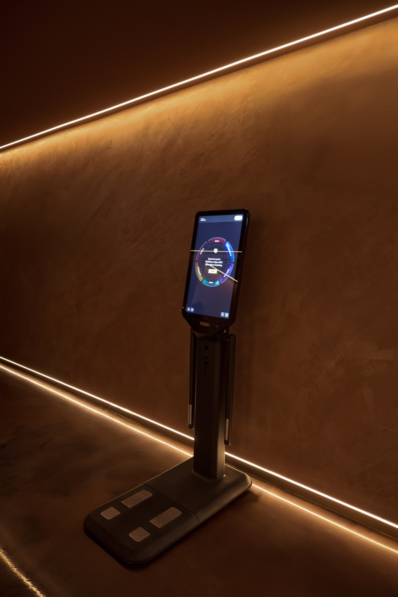 Body Composition Scan at THERAPY Eltham, Melbourne